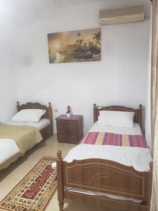 Hostel Split Rock تيرانا المظهر الخارجي الصورة