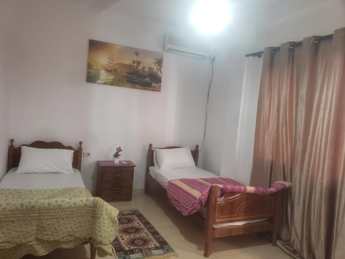 Hostel Split Rock تيرانا المظهر الخارجي الصورة