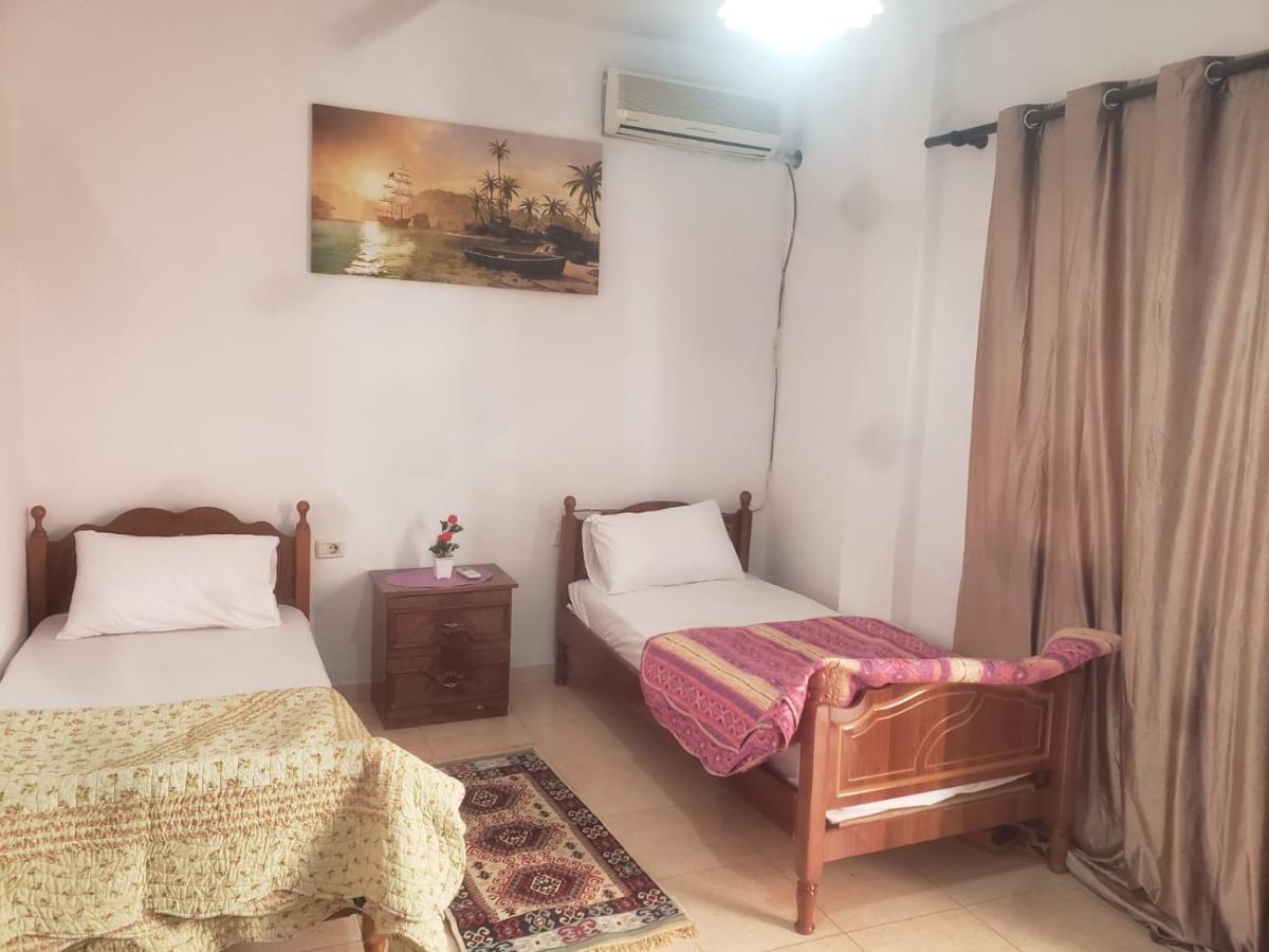 Hostel Split Rock تيرانا المظهر الخارجي الصورة