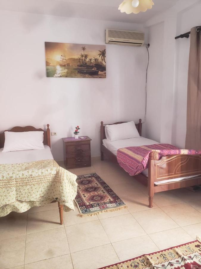 Hostel Split Rock تيرانا المظهر الخارجي الصورة