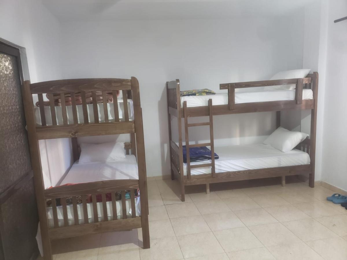 Hostel Split Rock تيرانا المظهر الخارجي الصورة